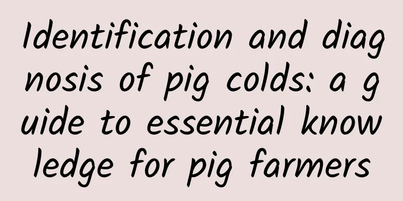 Identification and diagnosis of pig colds: a guide to essential knowledge for pig farmers