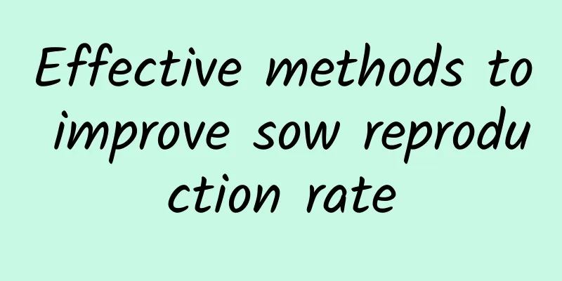 Effective methods to improve sow reproduction rate