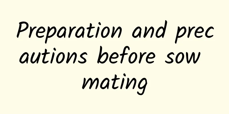 Preparation and precautions before sow mating