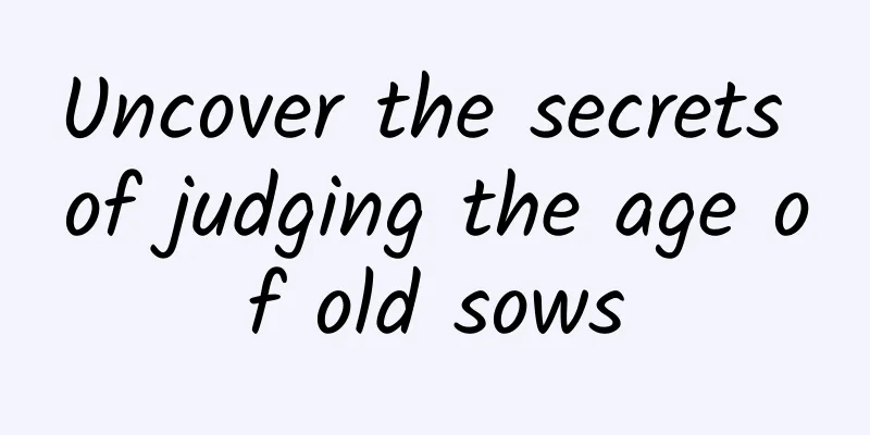 Uncover the secrets of judging the age of old sows