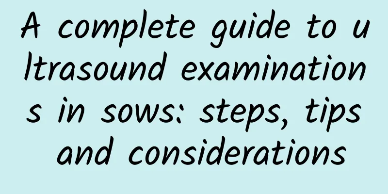 A complete guide to ultrasound examinations in sows: steps, tips and considerations
