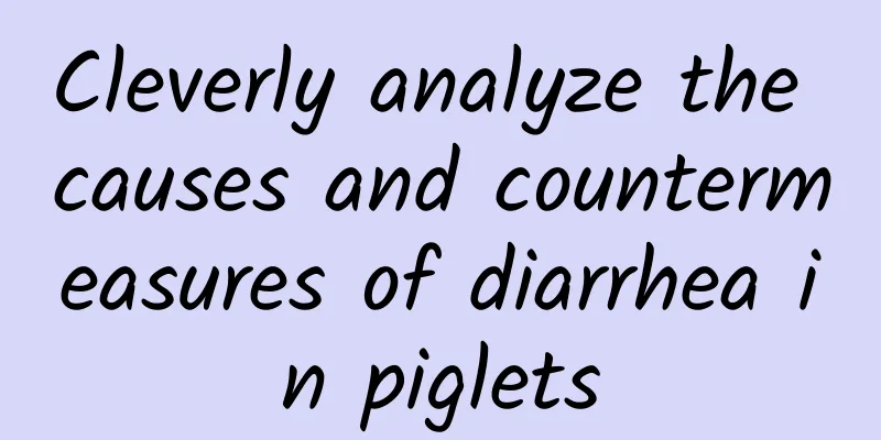 Cleverly analyze the causes and countermeasures of diarrhea in piglets