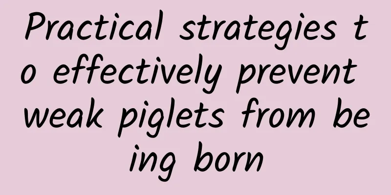 Practical strategies to effectively prevent weak piglets from being born