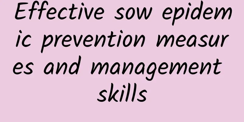Effective sow epidemic prevention measures and management skills