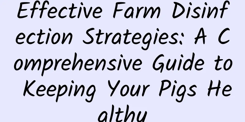 Effective Farm Disinfection Strategies: A Comprehensive Guide to Keeping Your Pigs Healthy