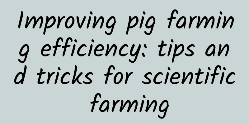 Improving pig farming efficiency: tips and tricks for scientific farming