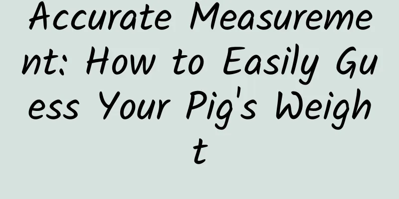 Accurate Measurement: How to Easily Guess Your Pig's Weight