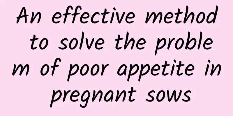 An effective method to solve the problem of poor appetite in pregnant sows