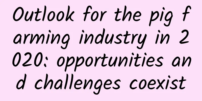 Outlook for the pig farming industry in 2020: opportunities and challenges coexist