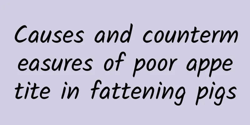 Causes and countermeasures of poor appetite in fattening pigs