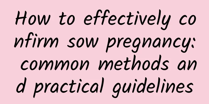 How to effectively confirm sow pregnancy: common methods and practical guidelines