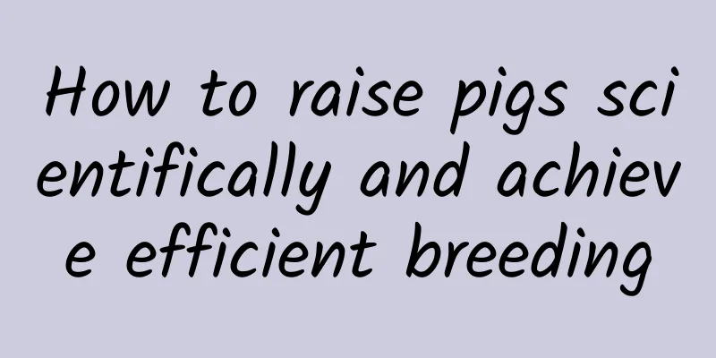 How to raise pigs scientifically and achieve efficient breeding