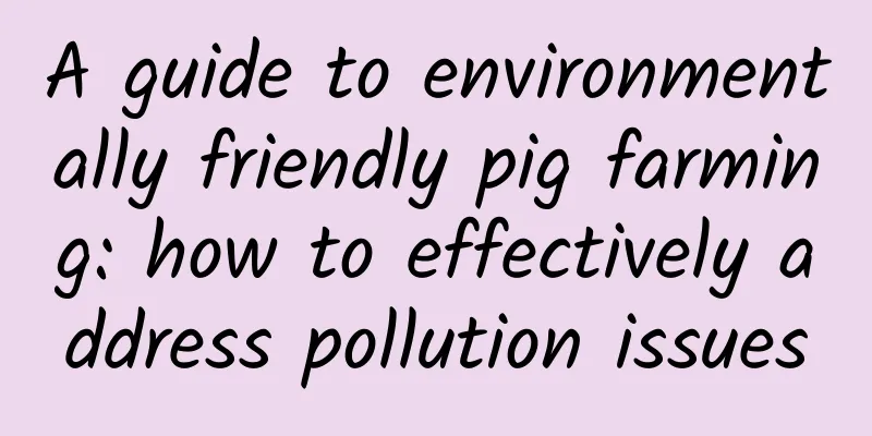A guide to environmentally friendly pig farming: how to effectively address pollution issues