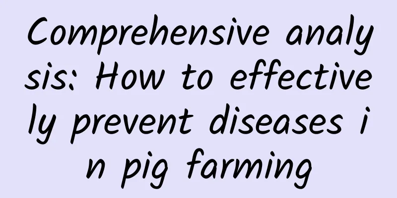 Comprehensive analysis: How to effectively prevent diseases in pig farming