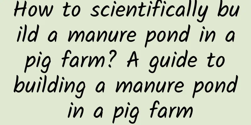 How to scientifically build a manure pond in a pig farm? A guide to building a manure pond in a pig farm