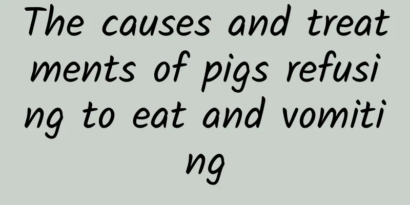 The causes and treatments of pigs refusing to eat and vomiting