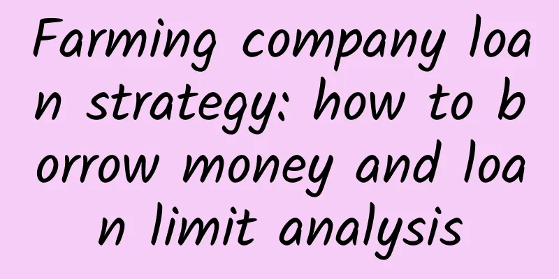 Farming company loan strategy: how to borrow money and loan limit analysis
