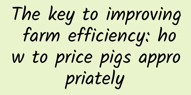 The key to improving farm efficiency: how to price pigs appropriately