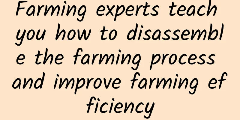 Farming experts teach you how to disassemble the farming process and improve farming efficiency