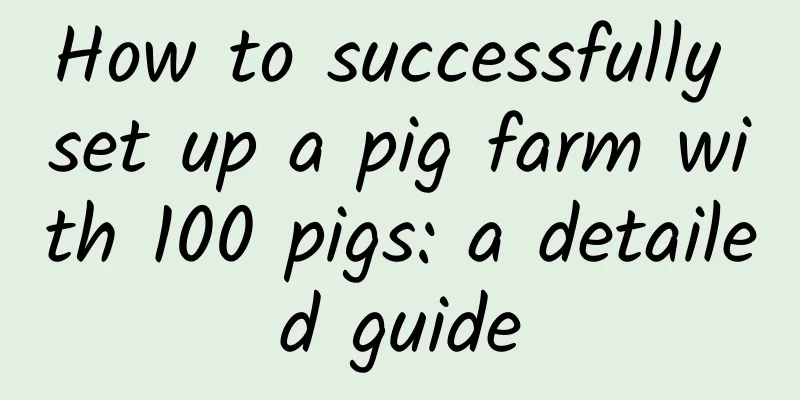 How to successfully set up a pig farm with 100 pigs: a detailed guide