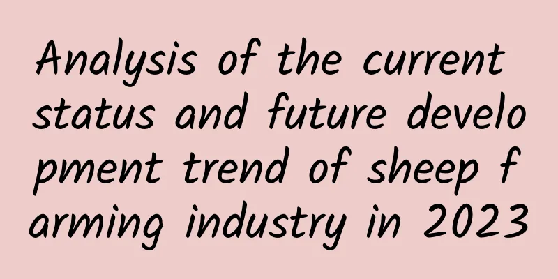 Analysis of the current status and future development trend of sheep farming industry in 2023