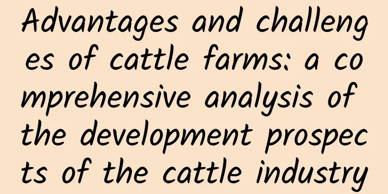 Advantages and challenges of cattle farms: a comprehensive analysis of the development prospects of the cattle industry