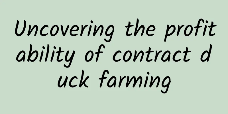 Uncovering the profitability of contract duck farming