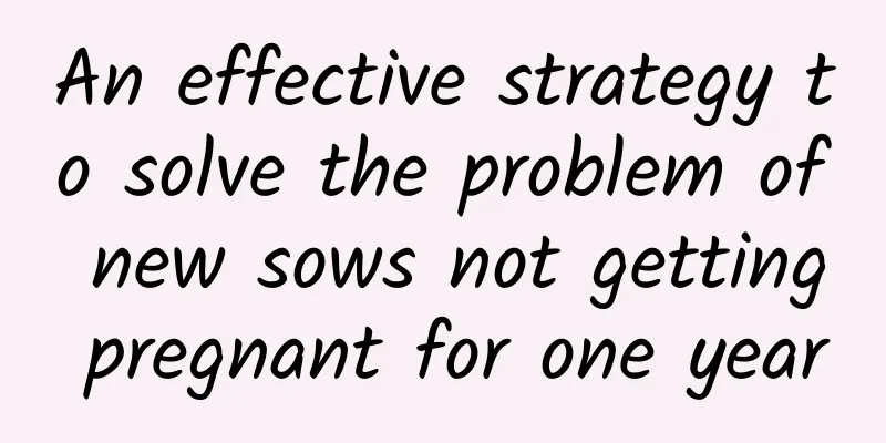 An effective strategy to solve the problem of new sows not getting pregnant for one year