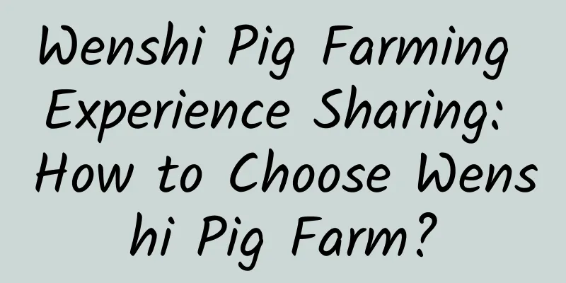 Wenshi Pig Farming Experience Sharing: How to Choose Wenshi Pig Farm?