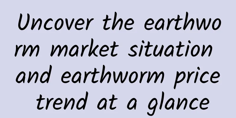 Uncover the earthworm market situation and earthworm price trend at a glance