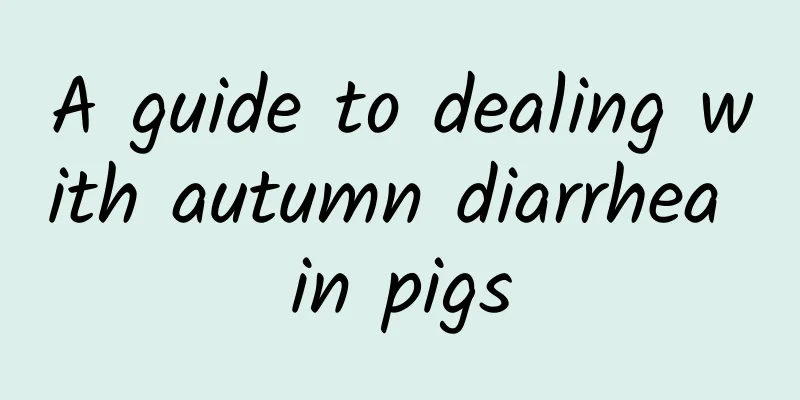A guide to dealing with autumn diarrhea in pigs