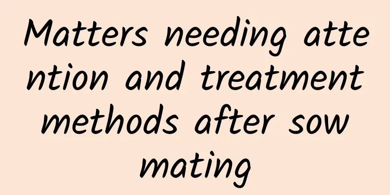 Matters needing attention and treatment methods after sow mating