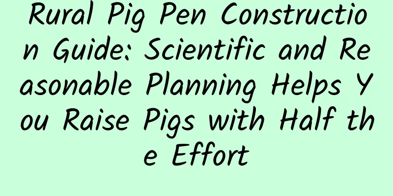 Rural Pig Pen Construction Guide: Scientific and Reasonable Planning Helps You Raise Pigs with Half the Effort