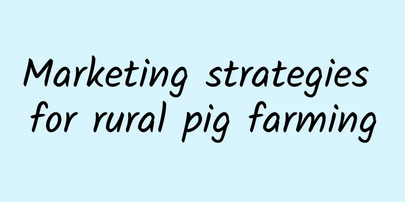 Marketing strategies for rural pig farming