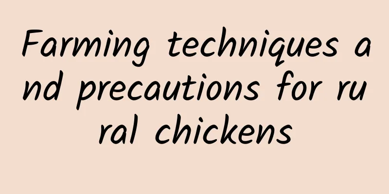 Farming techniques and precautions for rural chickens
