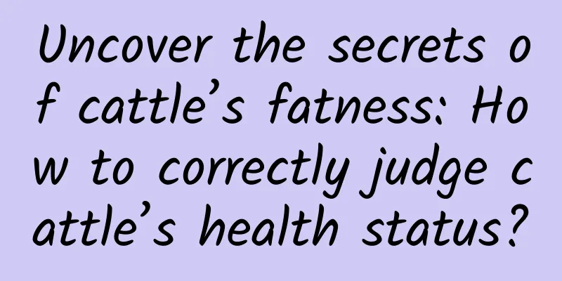 Uncover the secrets of cattle’s fatness: How to correctly judge cattle’s health status?