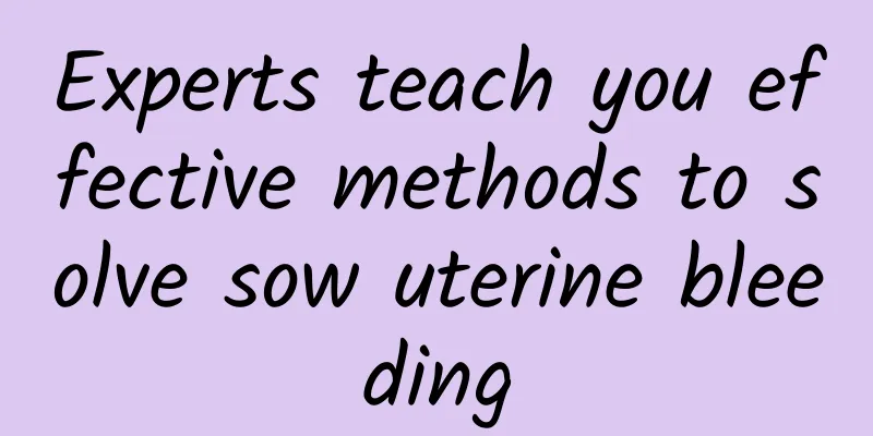 Experts teach you effective methods to solve sow uterine bleeding