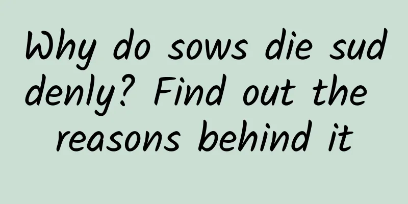 Why do sows die suddenly? Find out the reasons behind it