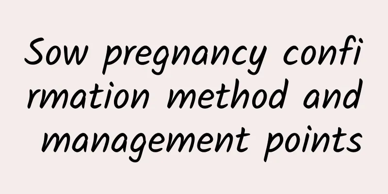 Sow pregnancy confirmation method and management points