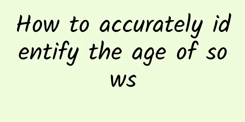 How to accurately identify the age of sows