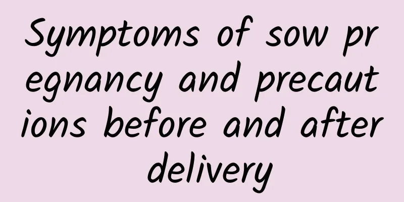 Symptoms of sow pregnancy and precautions before and after delivery