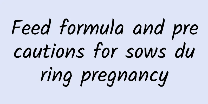 Feed formula and precautions for sows during pregnancy