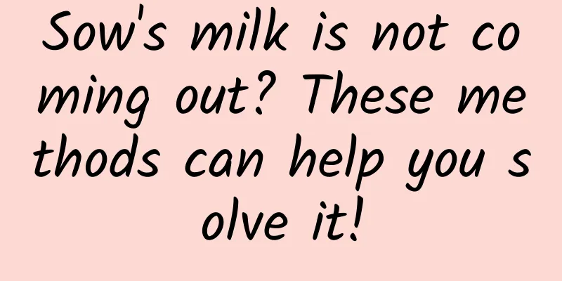 Sow's milk is not coming out? These methods can help you solve it!
