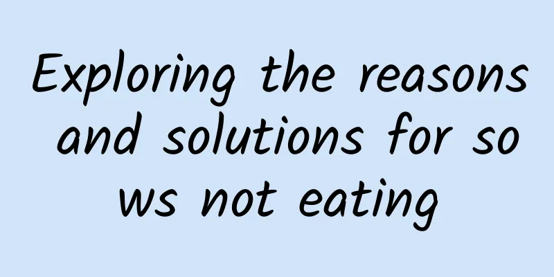 Exploring the reasons and solutions for sows not eating