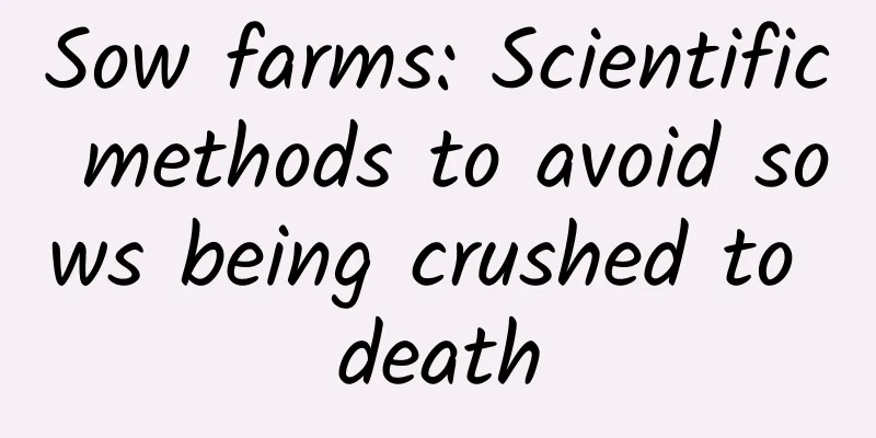 Sow farms: Scientific methods to avoid sows being crushed to death