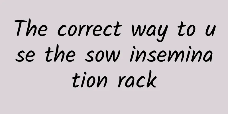 The correct way to use the sow insemination rack