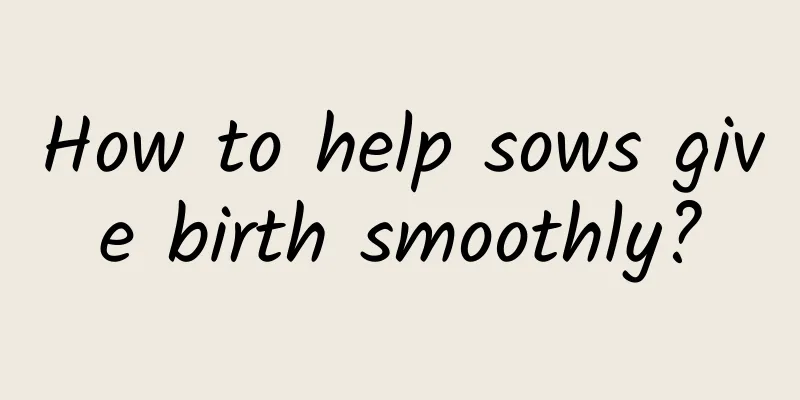 How to help sows give birth smoothly?