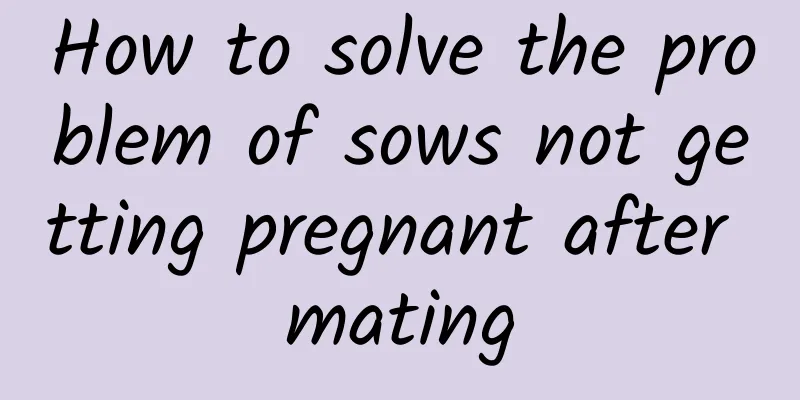 How to solve the problem of sows not getting pregnant after mating