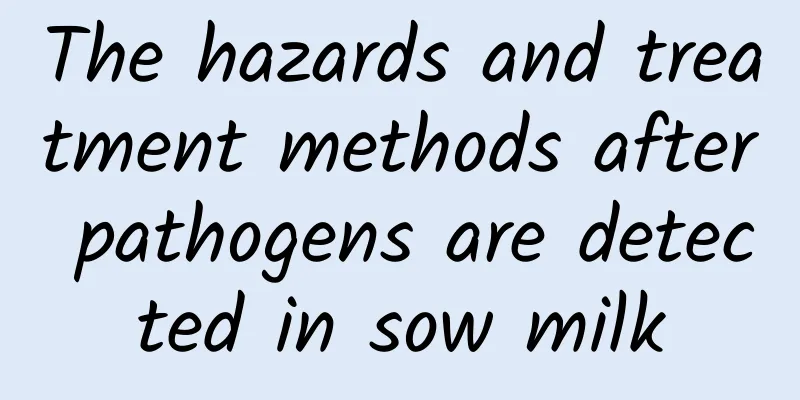 The hazards and treatment methods after pathogens are detected in sow milk