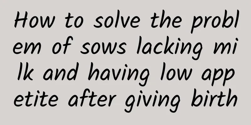 How to solve the problem of sows lacking milk and having low appetite after giving birth